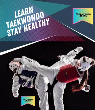 Learn Taekwondo From Web 