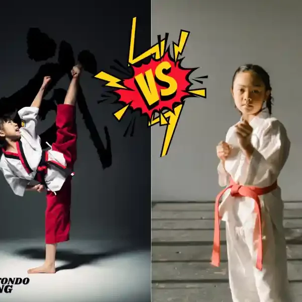 taekwondoking, The Ultimate Guide to Karate or Taekwondo for Child