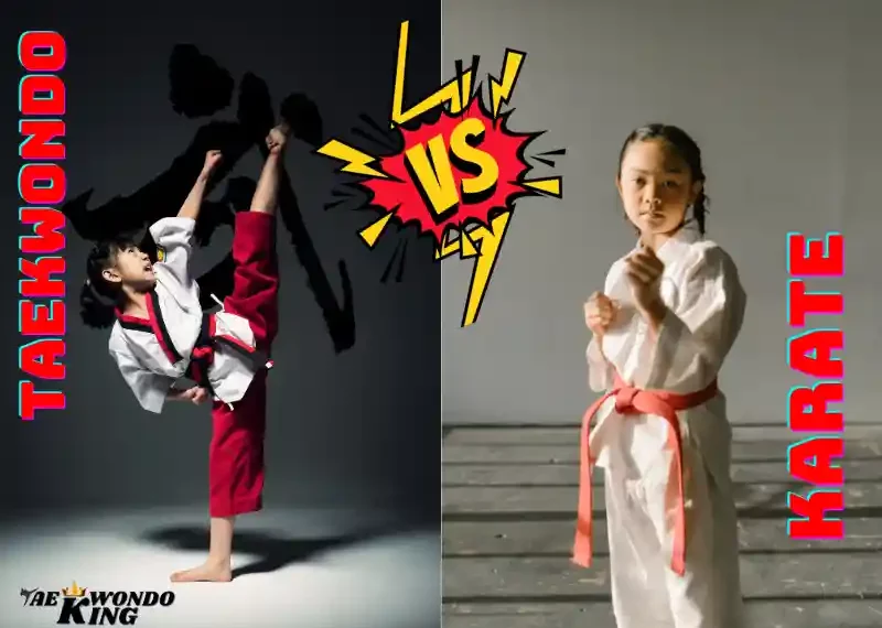 taekwondoking, The Ultimate Guide to Karate or Taekwondo for Child