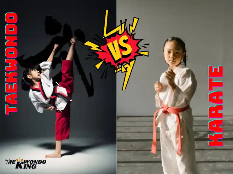taekwondoking, The Ultimate Guide to Karate or Taekwondo for Child