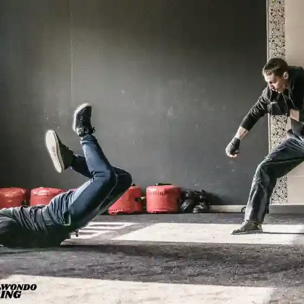 taekwondoking, Top 10 Dangerous Martial Arts in The World– A Exploration