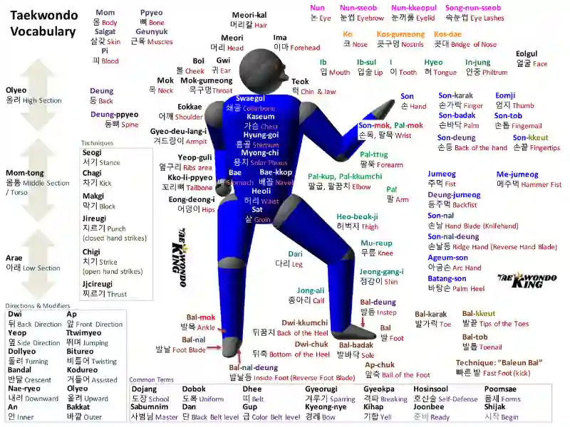 taekwondoking, 10 Common and most useable words in Taekwondo with meaning