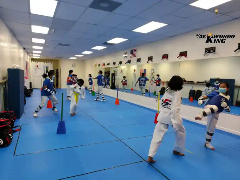 Best Taekwondo Academy, California, USA, Top 10 Taekwondo Learning Centre in California USA, 