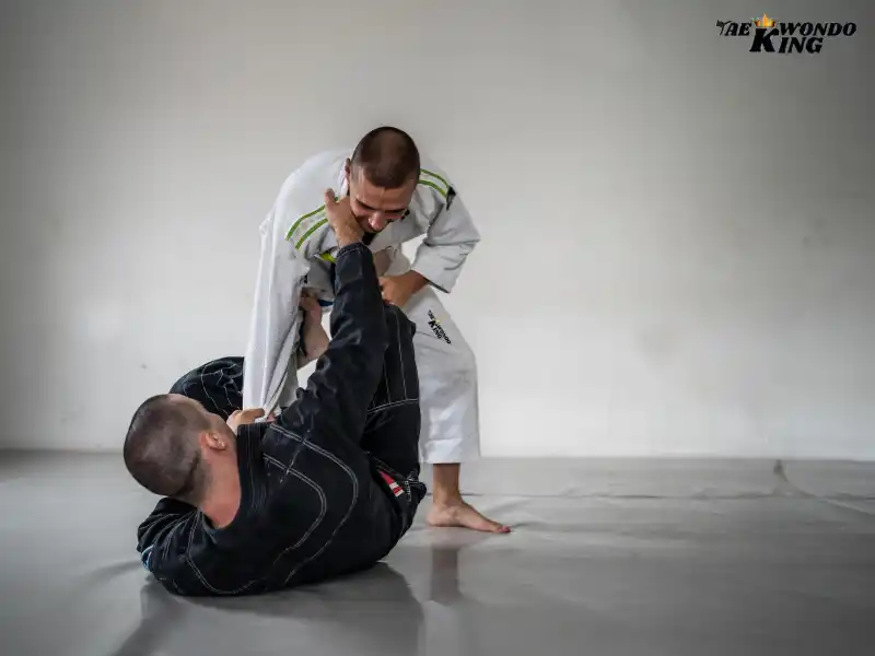 taekwondoking, Best Martial Art for Self-defense Brazilian Jiu-Jitsu (BJJ): The Pinnacle of Self-Defense – Technique, Control, and Adaptability
