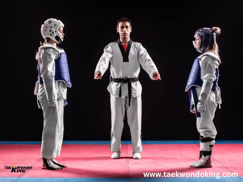 taekwondoking, Common and Most useable words in Taekwondo