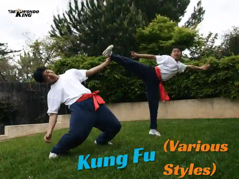 taekwondoking, Kung Fu: The Ancient Art of Self-Defense Mastery