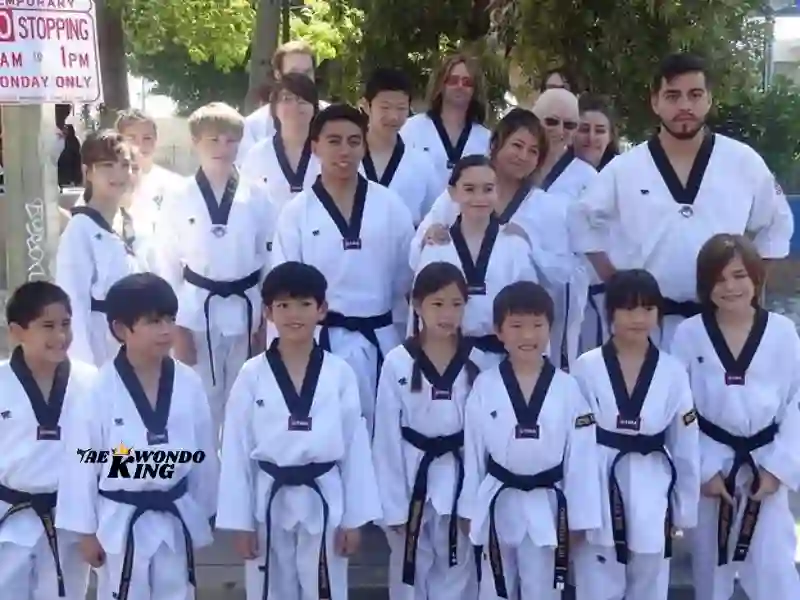 International Taekwondo College, California, USA, Top 10 Taekwondo Learning Centre in California USA, 