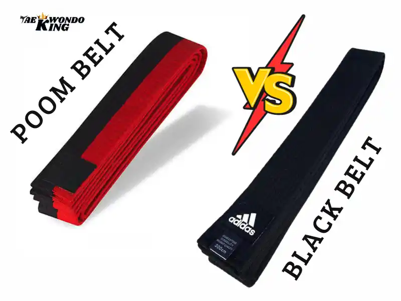 taekwondoking, Poom Belt vs. Black Belt: Clarifying the Distinctions: