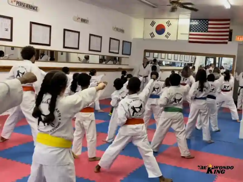 School Of Martial Arts, Chicago USA, taekwondoking