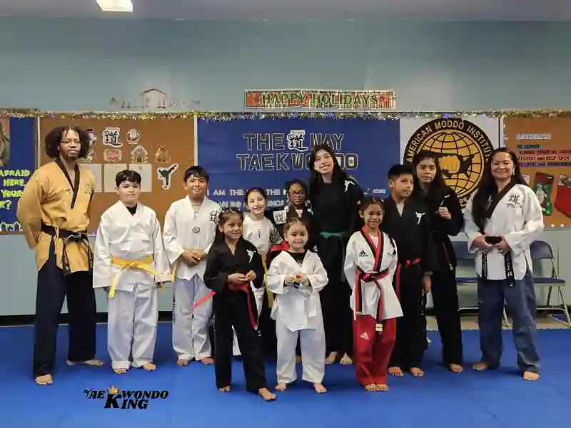 The Way, Chicago, USA, The Top 10 Best Taekwondo Academy in Chicago, USA