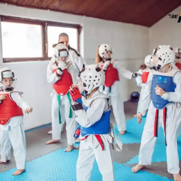 Top 10 Best Taekwondo Academy in Chicago, USA, taekwondoking