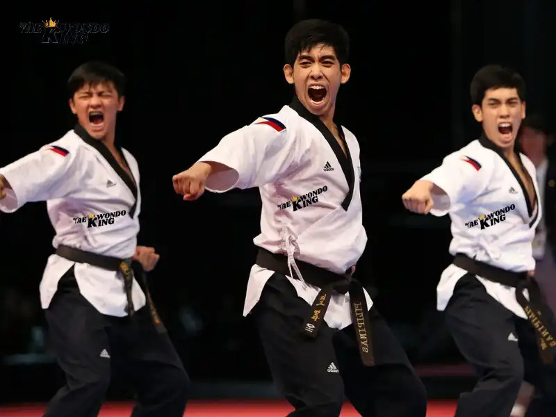 taekwondoking, Top 10 Best USA Taekwondo Recognized Poomsae November Ranking Male Under 30