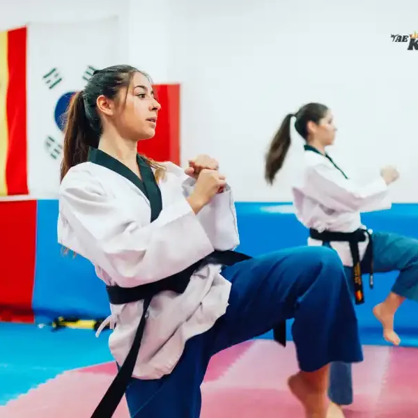 Top 15 Best Taekwondo Class in Dallas, USA, taekwondoking