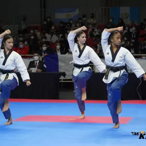 USA Taekwondo Poomsae January Ranking 2024 Results Official, Taekwondoking