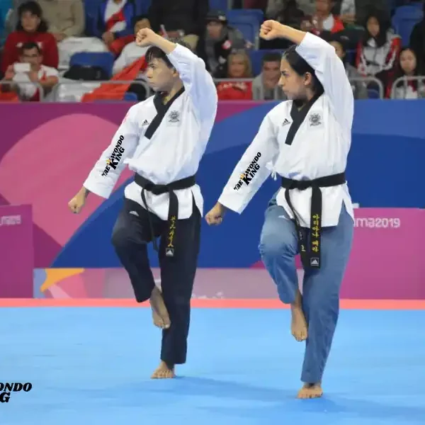 taekwondoking, USA Taekwondo Recognized Poomsae November Ranking 2023 