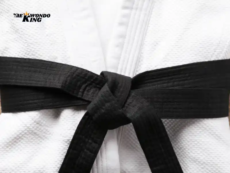 taekwondoking, Understanding the Belt Hierarchy in Taekwondo: