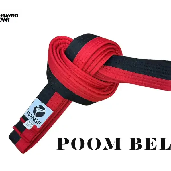 taekwondoking, What is Poom belt in Taekwondo