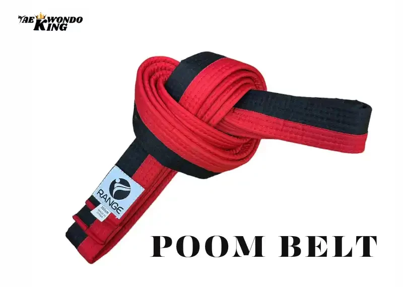 taekwondoking, What is Poom belt in Taekwondo