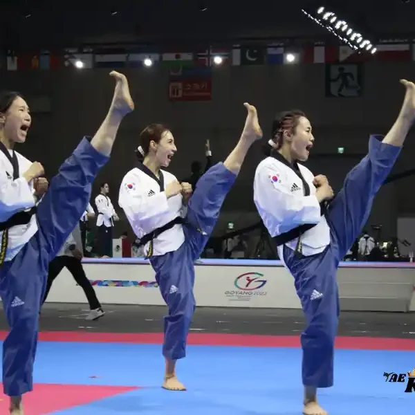 taekwondoking, World Taekwondo Recognized Poomsae Ranking December 2023