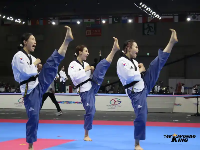 taekwondoking, World Taekwondo Recognized Poomsae Ranking December 2023