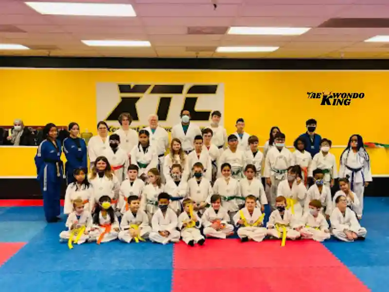 Xcellent Taekwondo Center, Chicago, USA, The Top 10 Best Taekwondo Academy in Chicago, USA, taekwondoking
