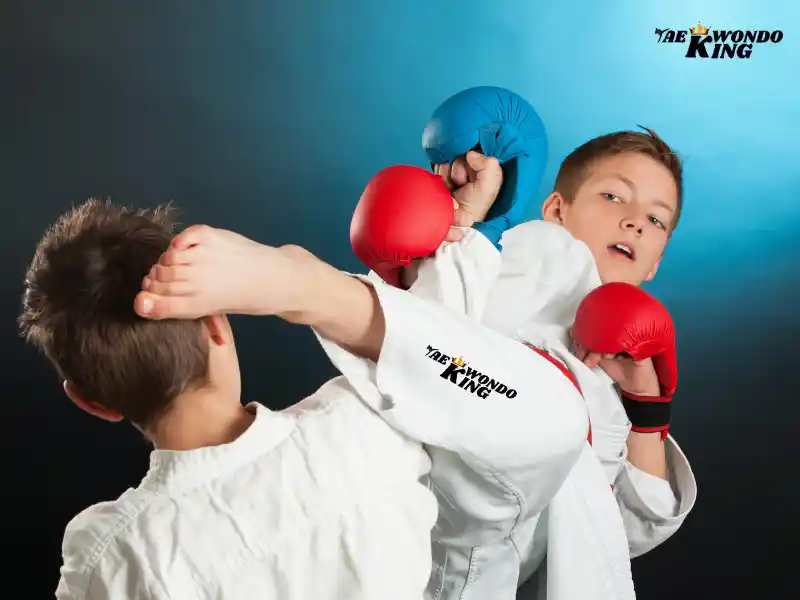 taekwondoking, what is karate?
