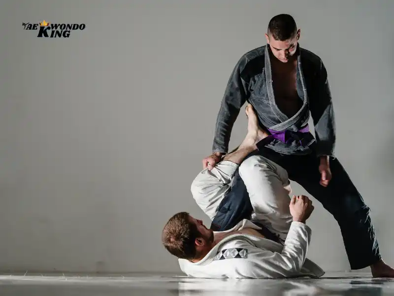 Brazilian Jiu-Jitsu (BJJ): Top 10 Deadliest Martial Arts in The World (Ranked 2024), taekwondoking