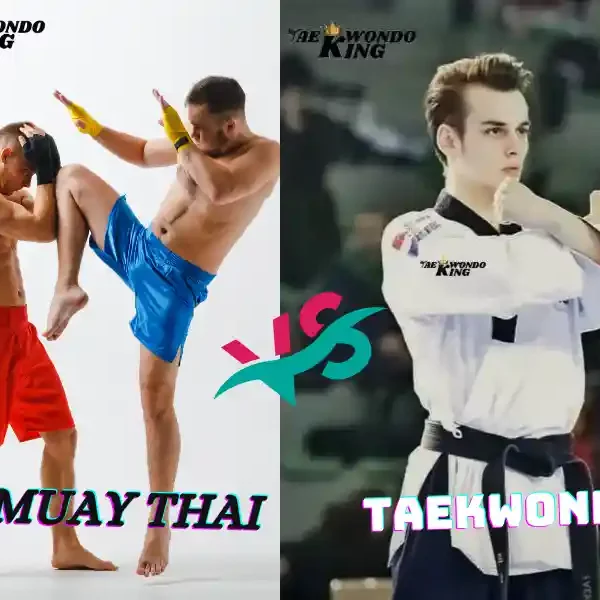 Can Muay Thai Beat Taekwondo? Taekwondoking