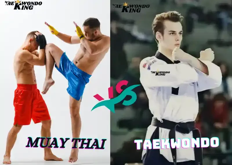 Can Muay Thai Beat Taekwondo? Taekwondoking