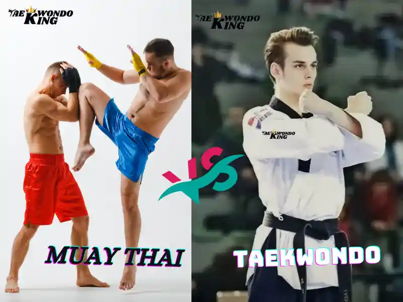 Can Muay Thai Beat Taekwondo? Taekwondoking