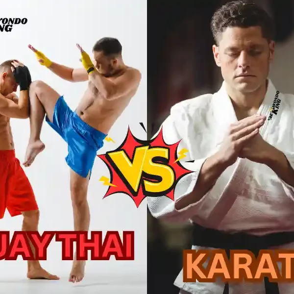 Does Muay Thai Beat Karate? Taekwondoking