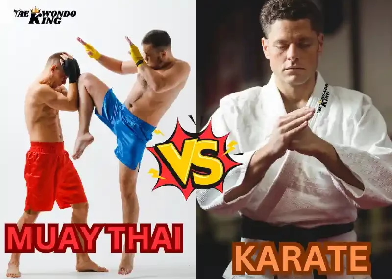 Does Muay Thai Beat Karate? Taekwondoking