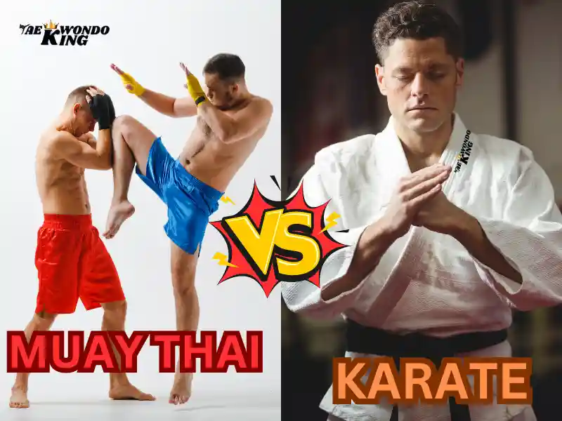 Does Muay Thai Beat Karate? Taekwondoking
