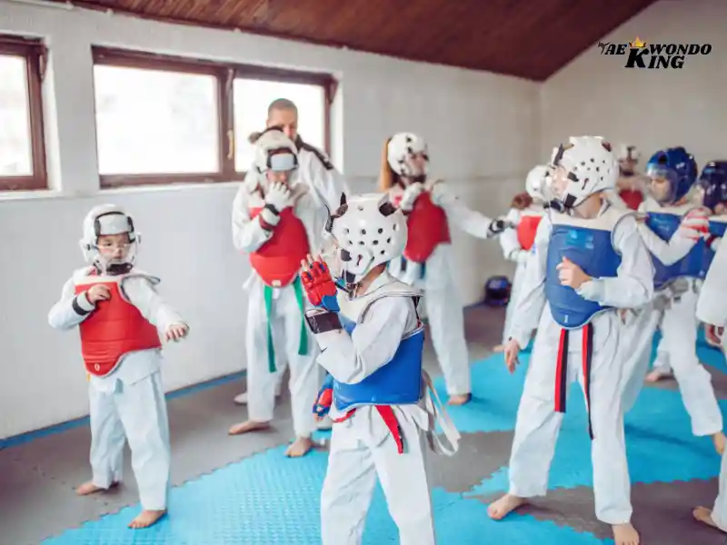 Strategies for Success in Taekwondo Sparring (TKD), taekwondoking