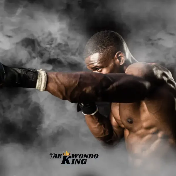 Top 10 Deadliest Martial Arts in The World (Ranked 2024), taekwondoking