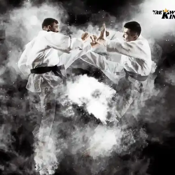Top 15 Ranked Most Effective Martial Arts in a Real Fight 2024, taekwondoking