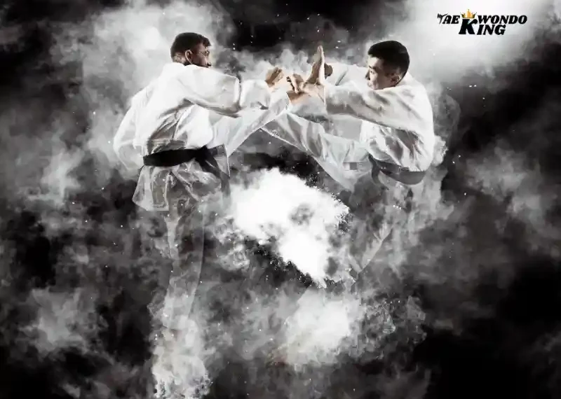 Top 15 Ranked Most Effective Martial Arts in a Real Fight 2024, taekwondoking