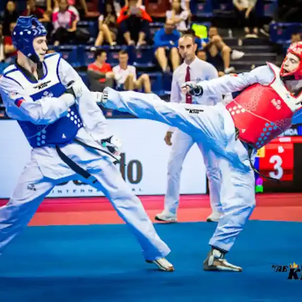 World Taekwondo Male Olympic Kyorugi Ranking January 2024, taekwondoking