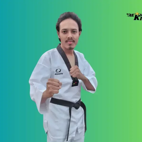 How I Became a Taekwondo Martial Arts Expert? taekwondoking