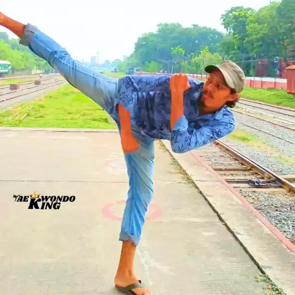 Name and Details of 5 Hard Kicks in Taekwondo in My Experience TaekwondoKing Ehatasamul Alom Pic