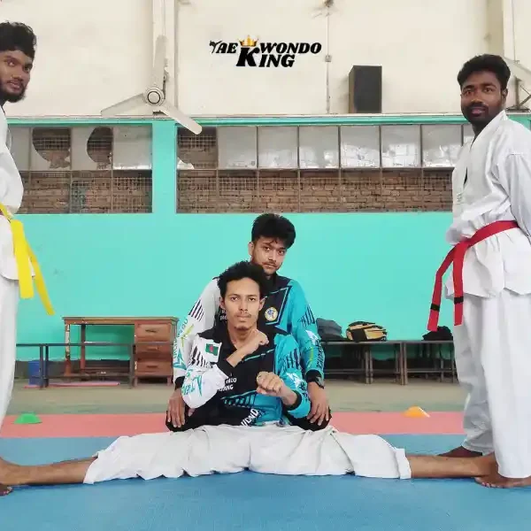 Why Flexibility is the Most Important Part of Taekwondo? TaekwondoKing Ehatasamul Alom Pic