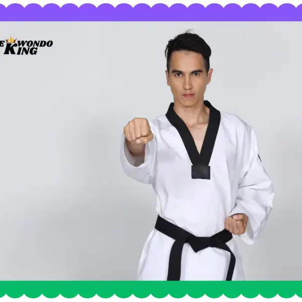 Learn Taekwondo For Personal & Professional Fitness, taekwondoking