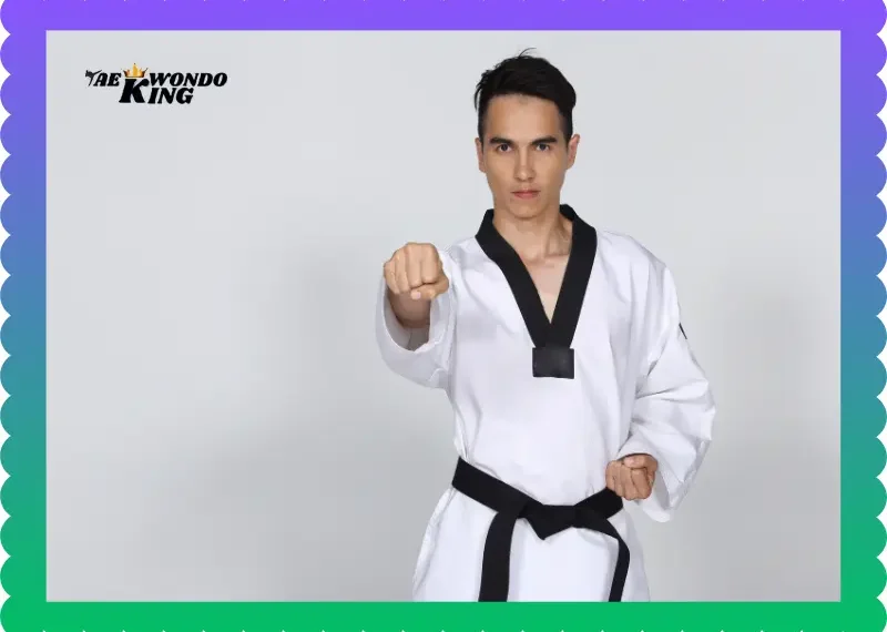 Learn Taekwondo For Personal & Professional Fitness, taekwondoking