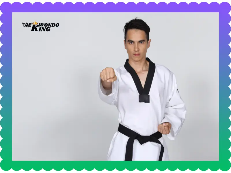 Learn Taekwondo For Personal & Professional Fitness, taekwondoking