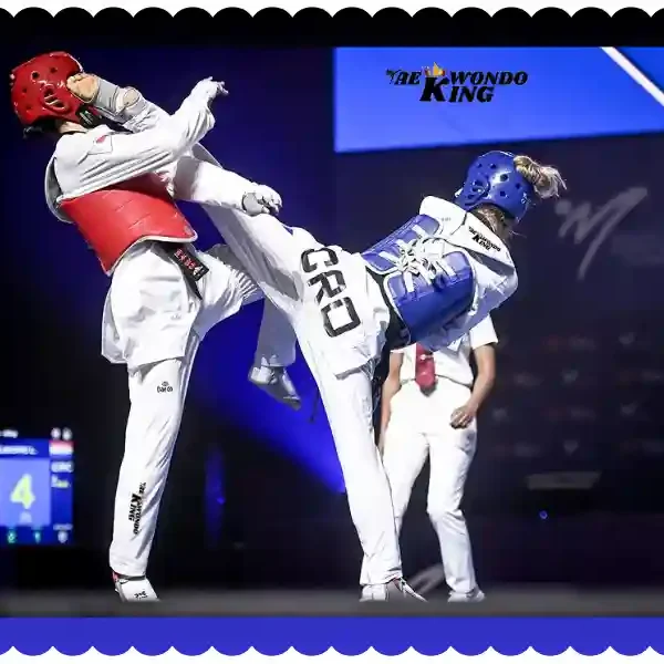 Taekwondo Kyorugi Rules and Regulations by WT, taekwondoking