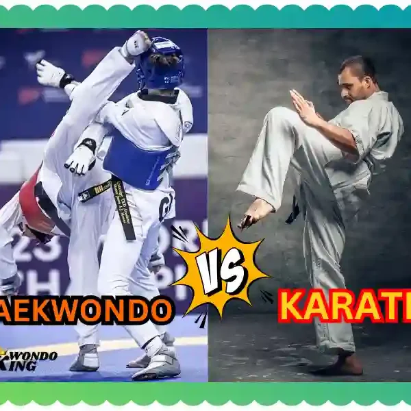 What is more popular Karate or Taekwondo in the world? taekwondoking