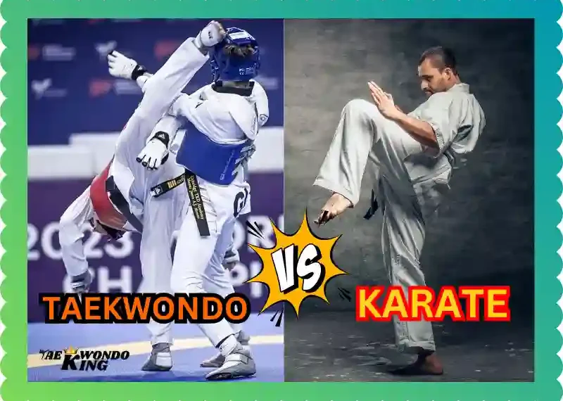 What is more popular Karate or Taekwondo in the world? taekwondoking