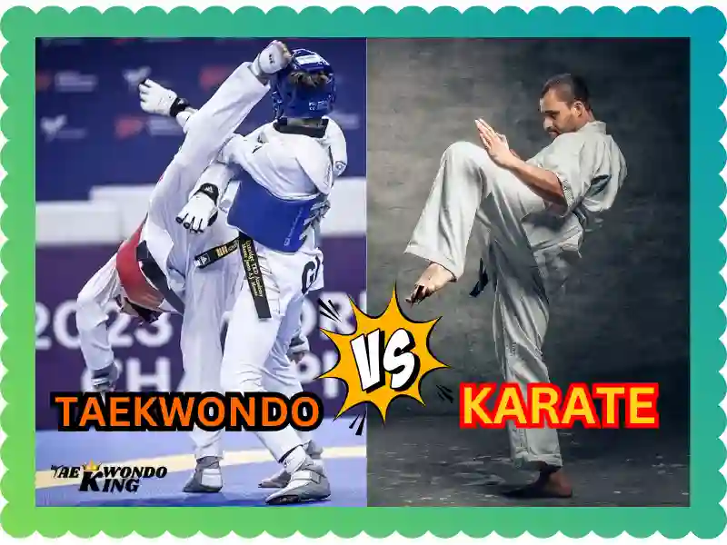 What is more popular Karate or Taekwondo in the world? taekwondoking
