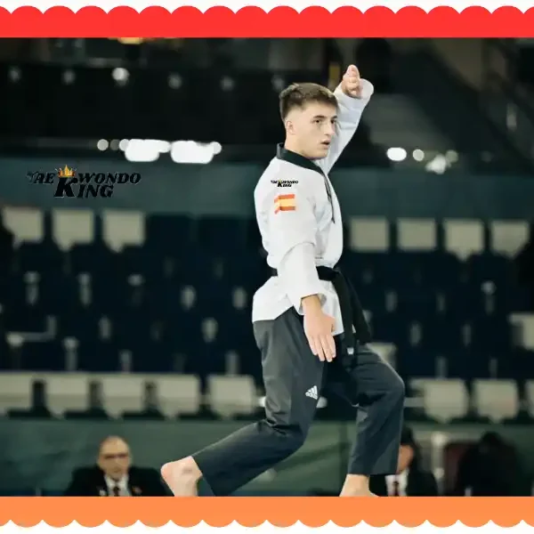 How to Master Taekwondo Forms? taekwondoking