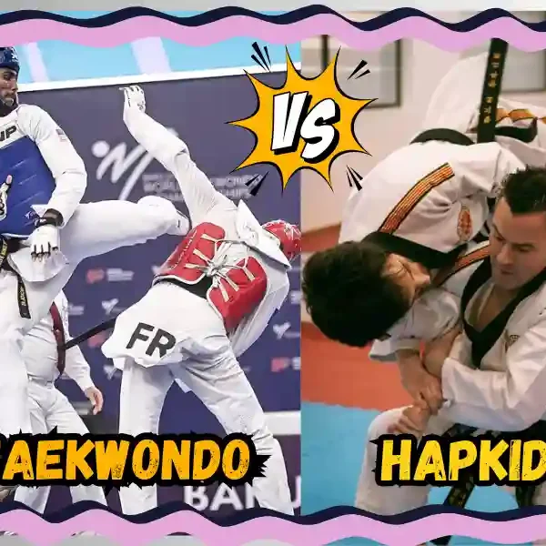 Hapkido vs Taekwondo Key Differences and Similarities Explained, taekwondoking